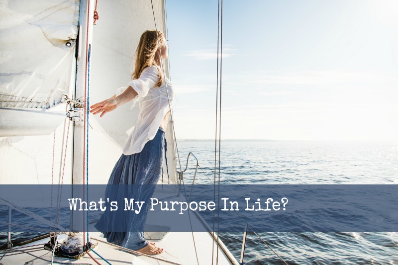 What’s My Purpose in Life?